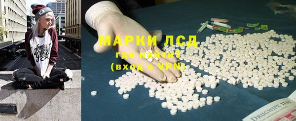 сатива Армянск
