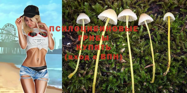 mdpv Алексеевка