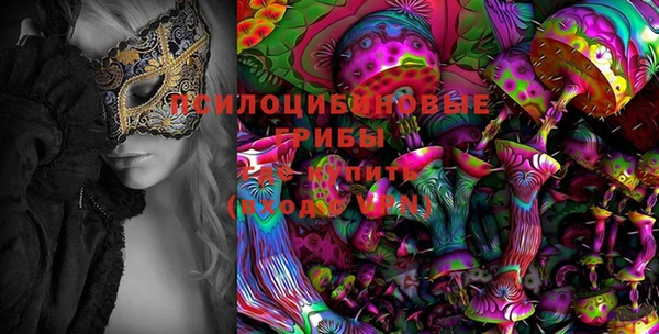 гидра Аркадак