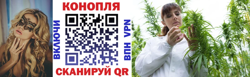 Канабис OG Kush  Уяр 